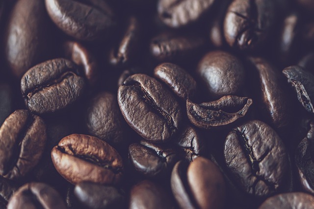 Cafés Foronda: Descubre la Mejor Selección de Café Artesanal en España